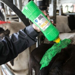 Heat Detection, Marking & Tail Paint
