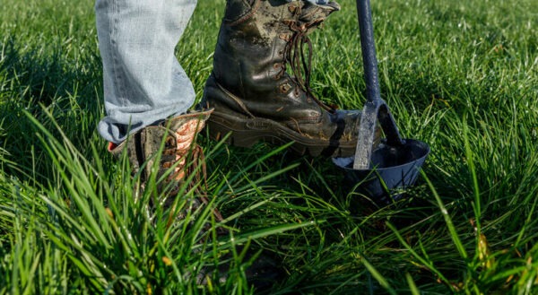 Soil Test
