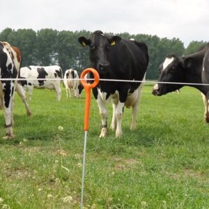 Gallagher Ring top post (1.00 metre, pack of 10) - Image 3