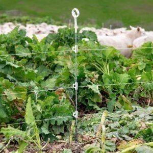Gallagher Multi Wire Ring Top Post White 1,10 m (10) - Image 5