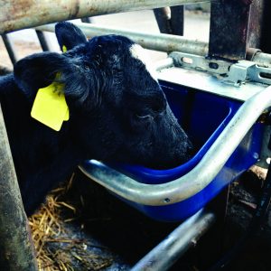 JFC DBL9 Tip Over Drinking Bowl - Image 2