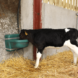 JFC DBL 3.5 Gallon / 16 Litre Drinking Bowl - Image 2