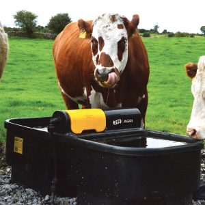 DT90 Fast Fill Water Trough 90 Gallon / 400 Litre - Image 2