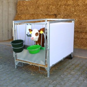 Bucket - 12Ltr With Handle - Image 2