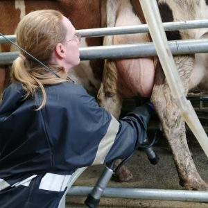 Pasturetec Waterproof Milking Top - Long Sleeve - Image 4
