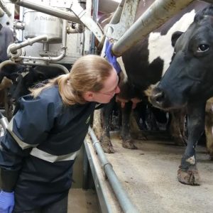 Pasturetec Waterproof Milking Top - Long Sleeve - Image 3