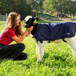 Calf Jacket / Blanket 70cm / 80cm - Image 5