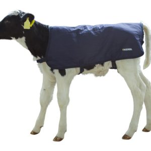 Calf Jacket / Blanket 70cm / 80cm - Image 2