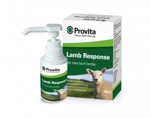 Provita Lamb Response - 100ML