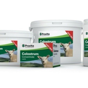 Provita Colostrum Concentrate – New Born Lambs - Image 2