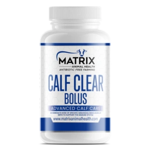 Calf Clear Bolus