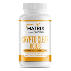 Crypto Clear Bolus
