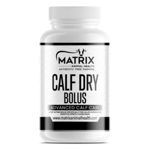 Calf Dry Bolus