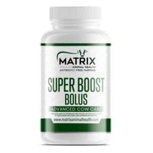 Super Boost Bolus