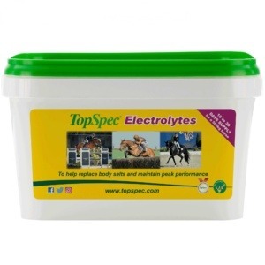 Topspec Electrolytes 1.5Kg