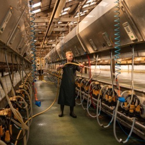 Pasturetec Waterproof Dairy Apron - Image 2