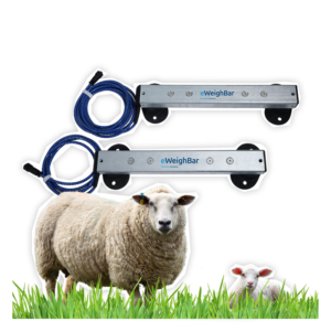iLivestock Load Bars / Weigh Bars - Image 5