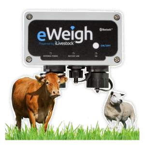 iLivestock Load Bars / Weigh Bars - Image 6