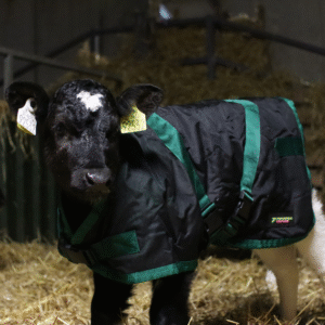 Forcefield Calf Coats - Image 3
