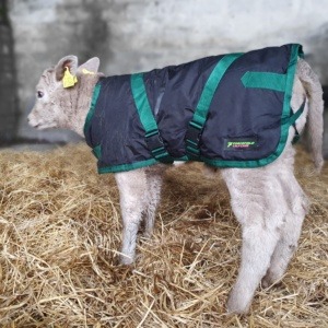 Forcefield Calf Coats - Image 5