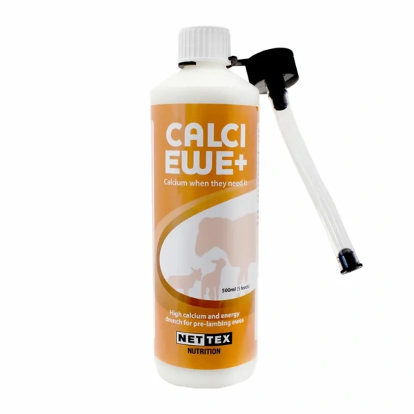 Calci Ewe